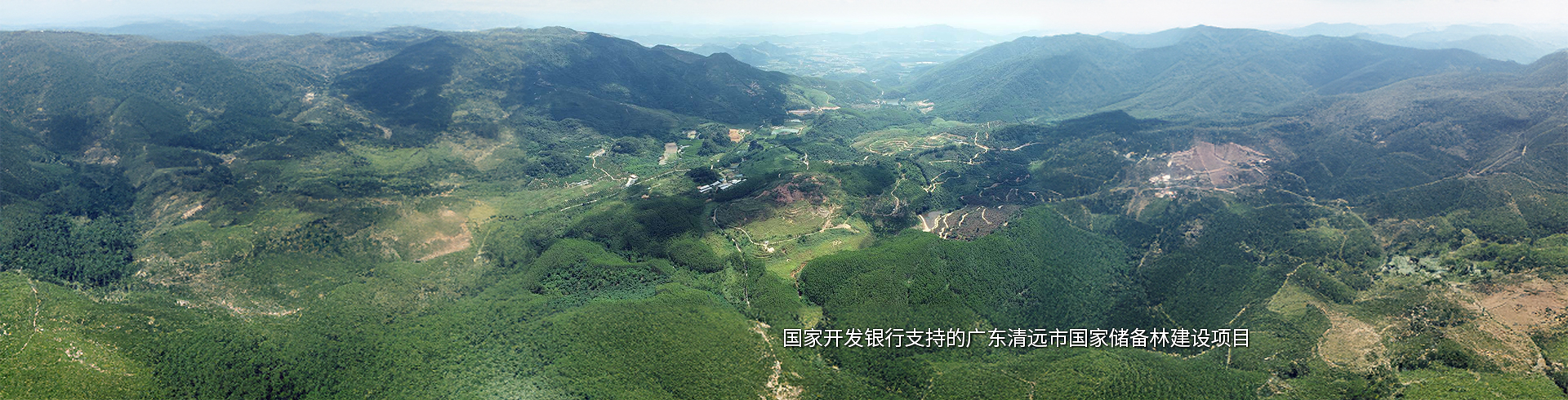 廣東清遠(yuǎn)市國家儲備林建設(shè)項目